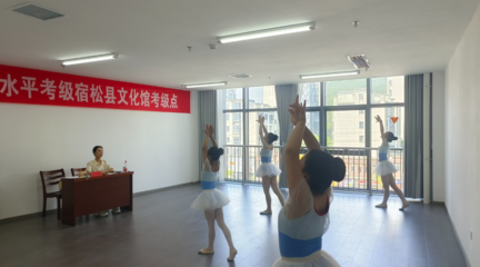 2024年宿松縣文化館全國(guó)社會(huì)藝術(shù)水平考級(jí)工作圓滿(mǎn)完成