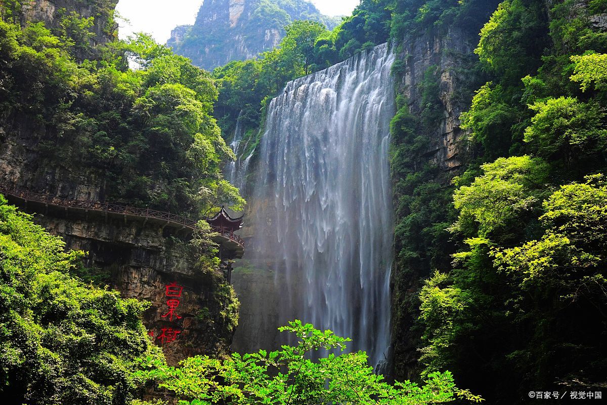 探秘宜昌三峽大瀑布 七日沉浸式生態(tài)之旅